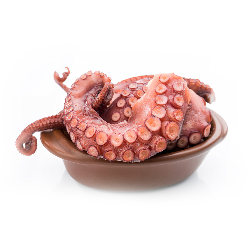 Cut Octopus