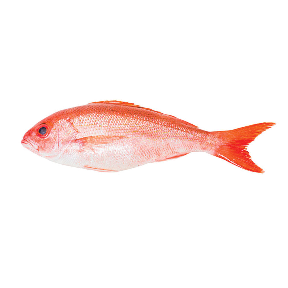 Red Snapper (Per Portions and Fillets)
